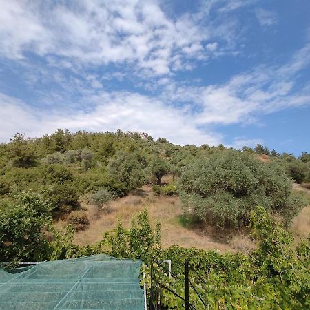 Elpida Apartment Limenas  Luaran gambar
