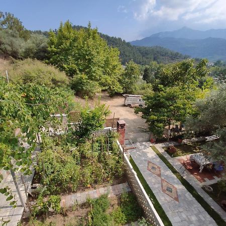 Elpida Apartment Limenas  Luaran gambar