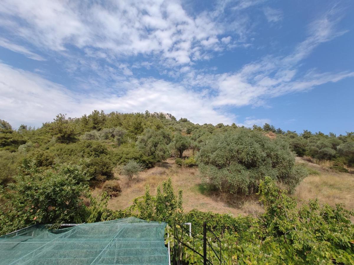 Elpida Apartment Limenas  Luaran gambar