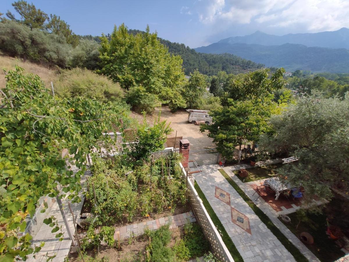 Elpida Apartment Limenas  Luaran gambar